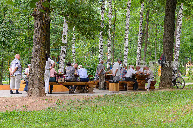 男人和退休老人在公园里下棋。Cheboksary。俄罗斯。