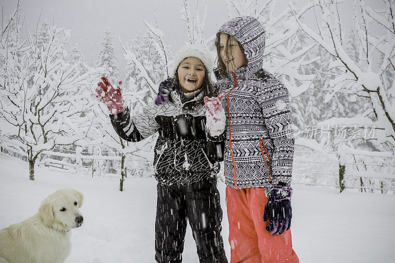 女孩们带着狗在雪地里玩得很开心