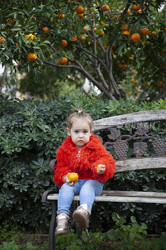 坐着一个小女孩从树上摘橘子