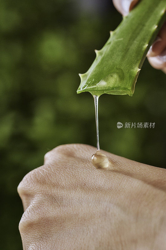 年轻女子用天然芦荟凝胶滋润她的双手