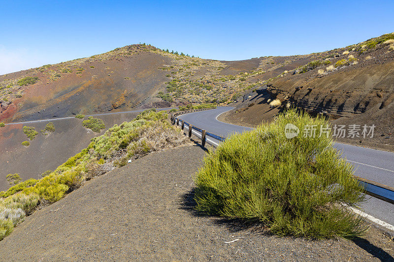 泰德国家公园，泰德大道。多色火山岩。特内里费,加那利群岛。