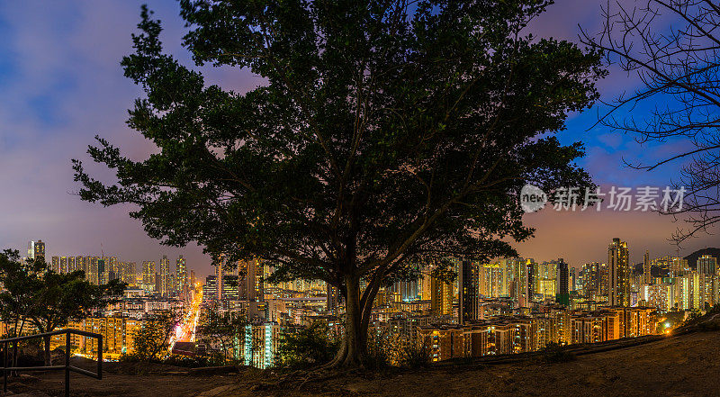 山上的树俯瞰未来主义的高层城市全景香港