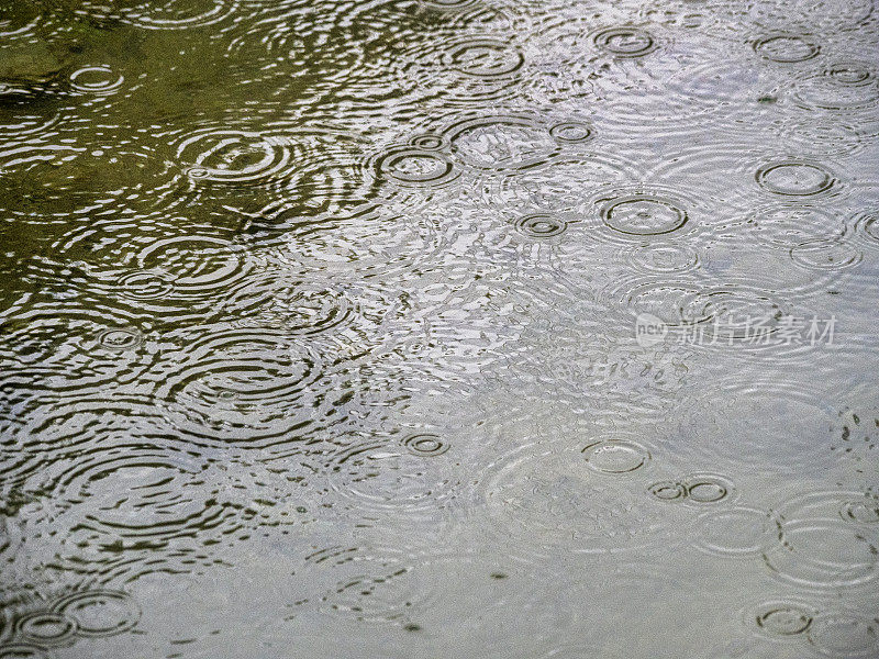 雨湖