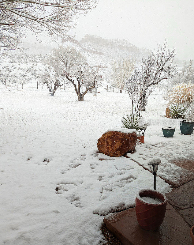 在犹他州洛克维尔的格拉夫顿路上，牧场在冬天被雪覆盖，背景是南梅萨