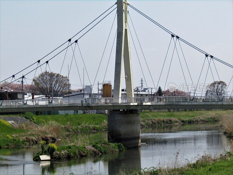 日本。四月初。横跨当地小河流的人行桥。