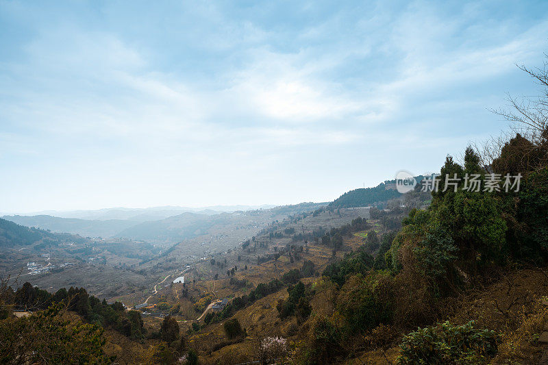 在清晨的山上