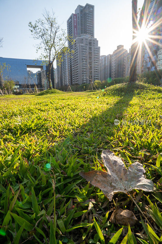 在台湾台中市政厅前的绿地公园，夕阳透过建筑物的裂缝照射进来。