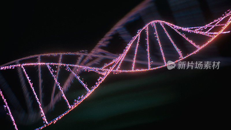 DNA分子的三维图像