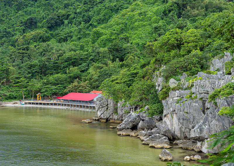 风景石灰岩山脉和杂草丛生的树木，恩赫岛，坚江省