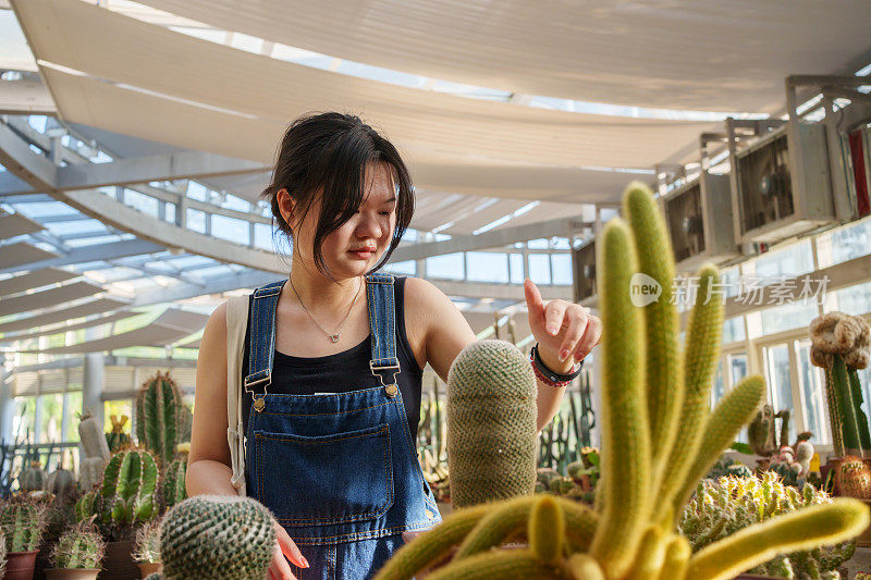 喜欢外来植物的女孩