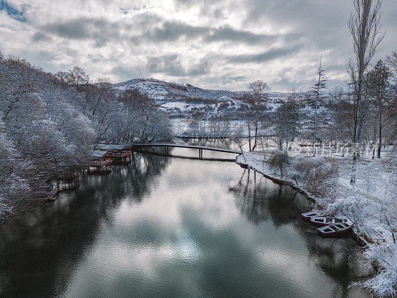 雪地里的雄蜂