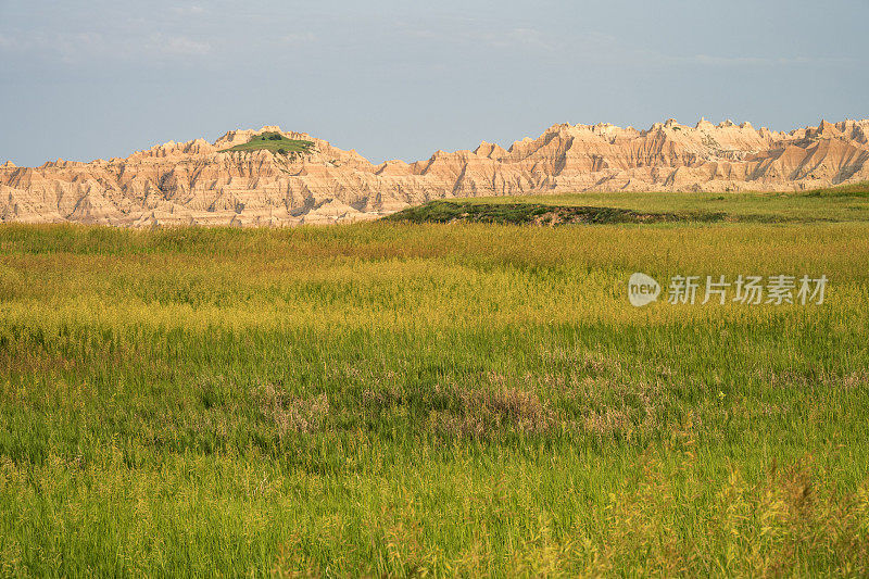 荒地国家公园夏季的草原