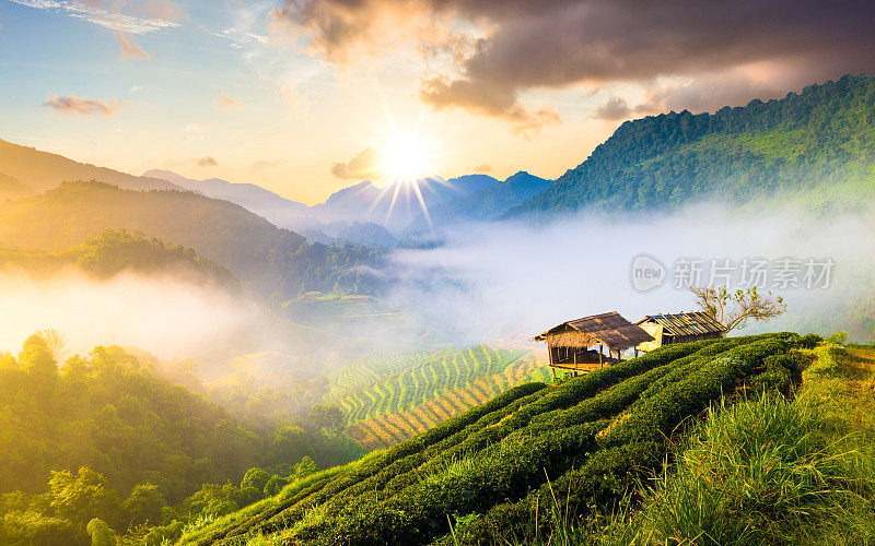 泰国北部的山景，日出和薄雾