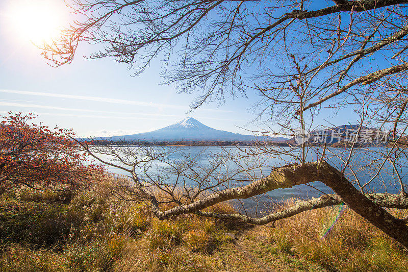 早晨的富士山和川口湖，秋季的富士山在山町。