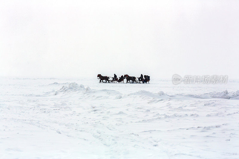 传统的马匹运输用雪橇与大雪