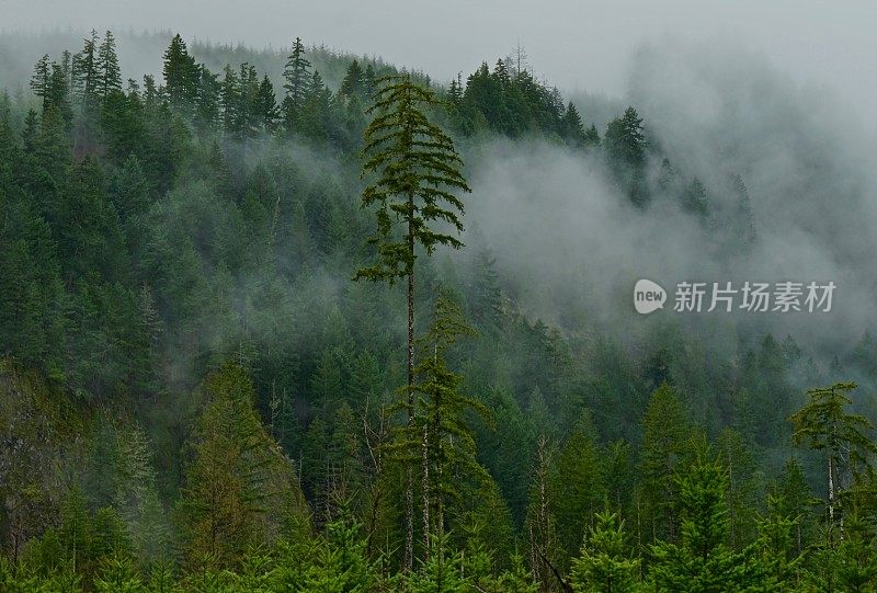 风河公路神秘