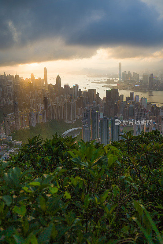 全景航拍的香港城市景观天际线在日落九龙famaus旅游地方在香港