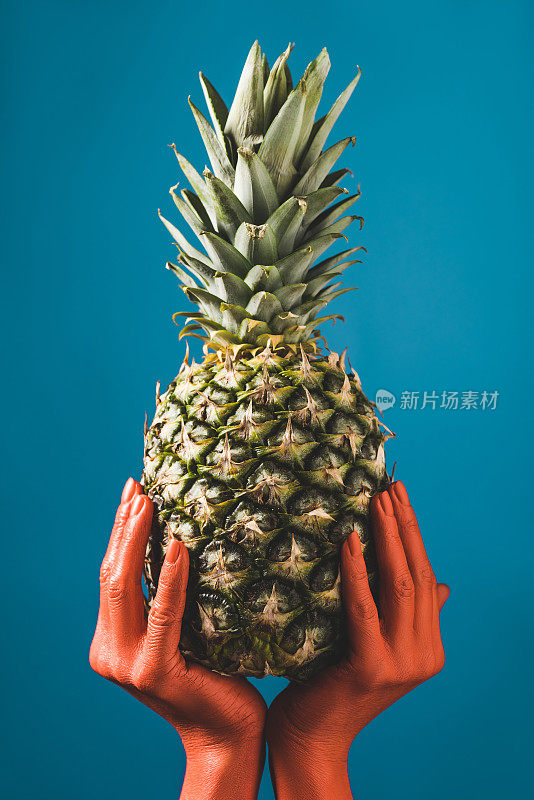 局部观点的女人拿着成熟的菠萝水果在珊瑚色的手在蓝色的背景，颜色2019概念