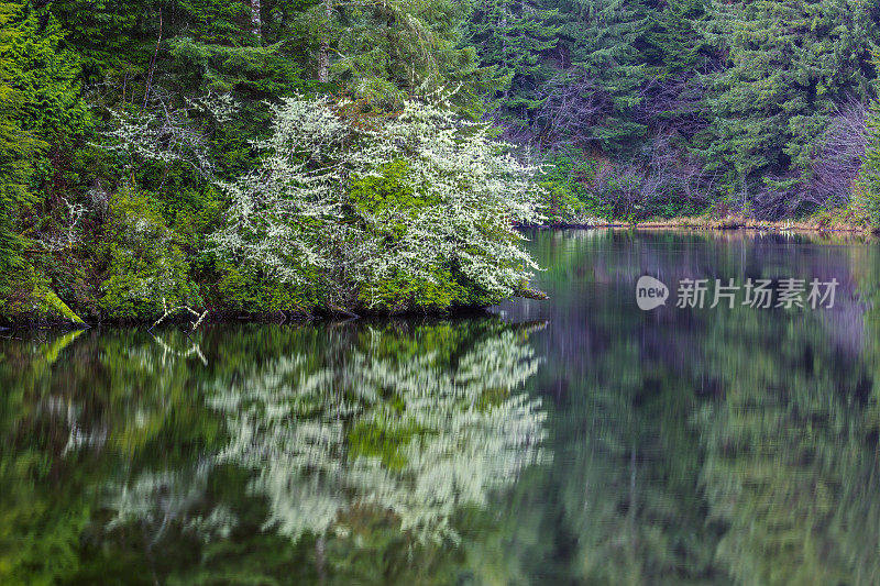 美国俄勒冈州沿海地区