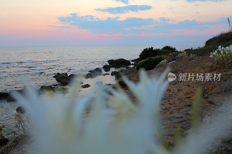 百合海上日落