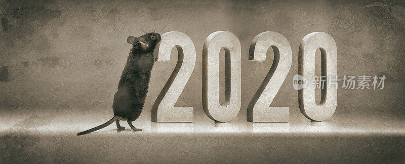 黑色小老鼠迎接2020年新年