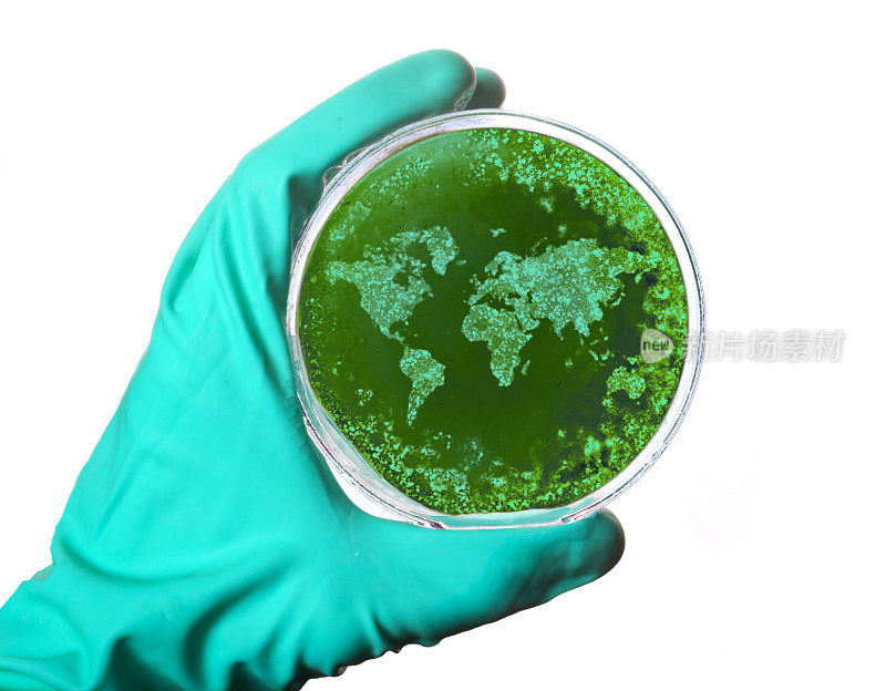 用细菌塑造世界的培养皿(系列)