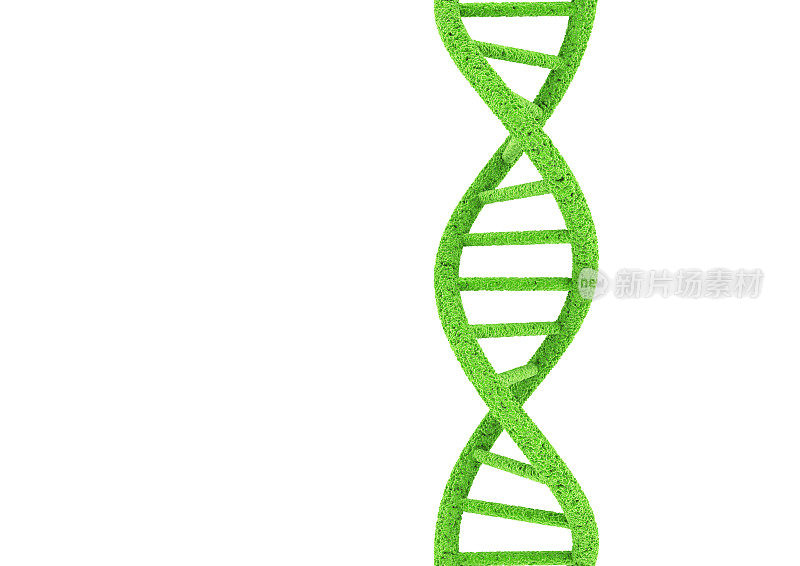 绿色的DNA。