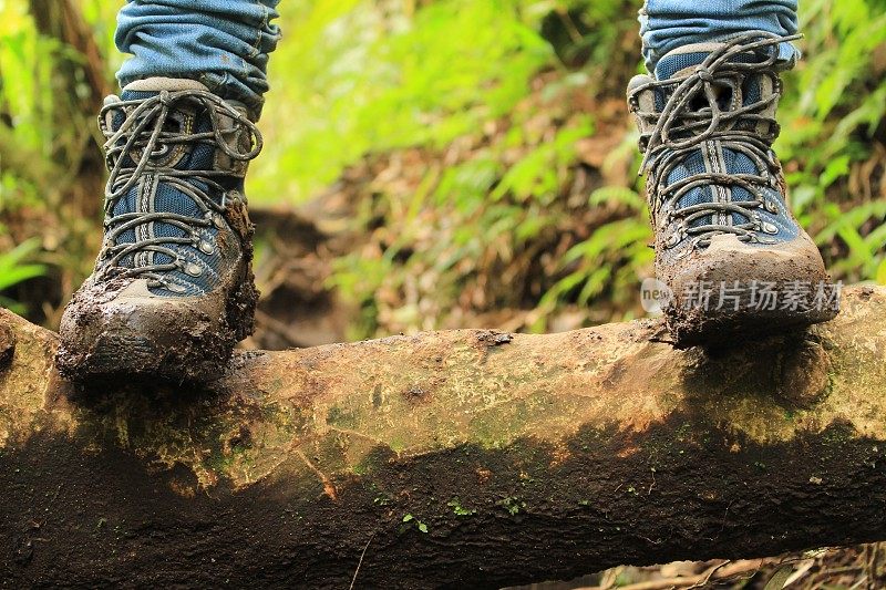 巴拿马热带雨林泥泞靴子的细节。