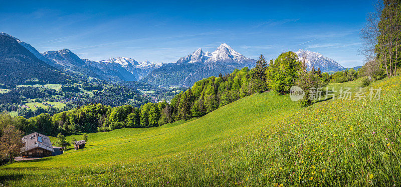春天阿尔卑斯山的田园风光和山间小屋