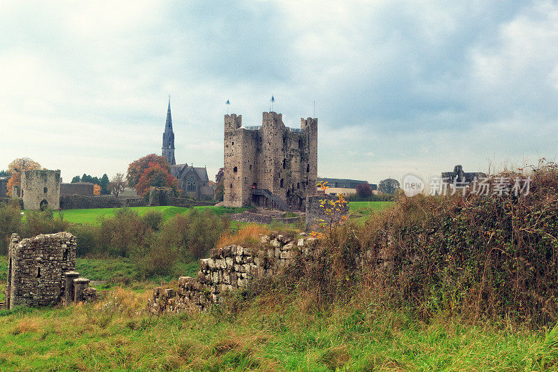 爱尔兰的特里姆城堡废墟