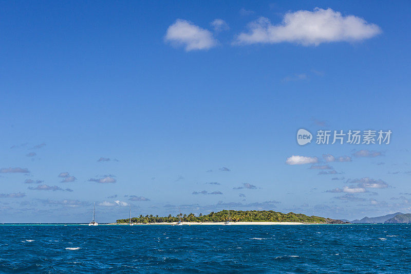 美丽的加勒比海海湾宁静的海岸，停泊着帆船和棕榈树