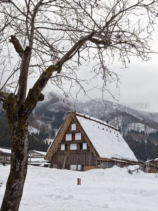 白川吾传统房屋覆盖着积雪