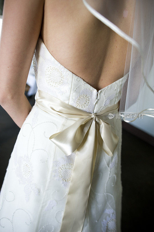 背后的新娘和礼服与缎带蝴蝶结细节