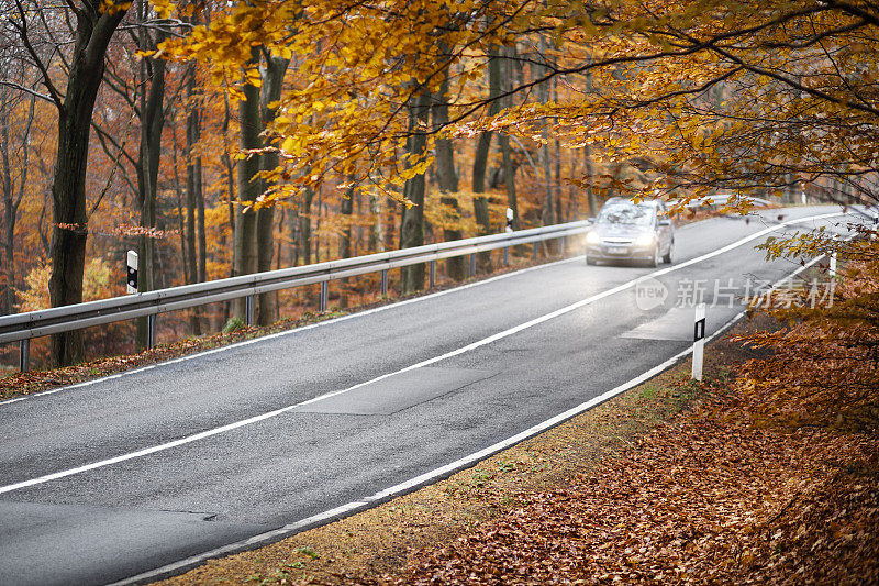 秋天的森林道路上迎面而来的车辆