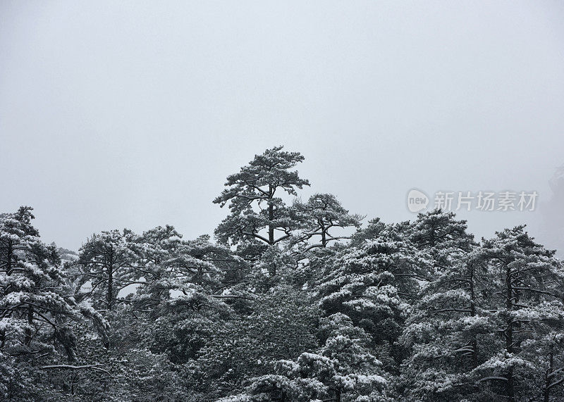 受中国黄山极地涡旋影响