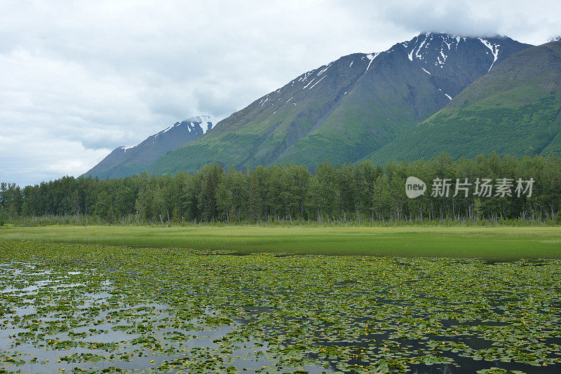 阿拉斯加的莉莉湖和山