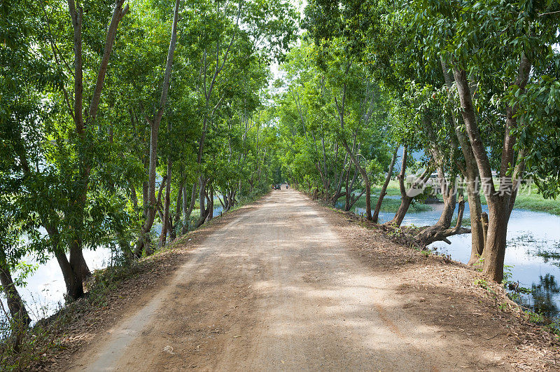 缅甸茵莱湖nyanggshwe附近的土路