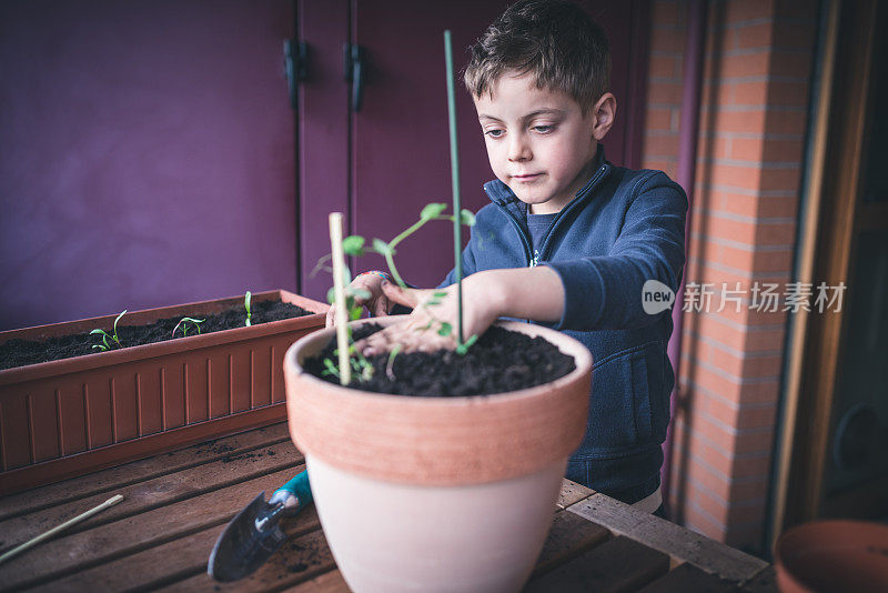 孩子照顾植物