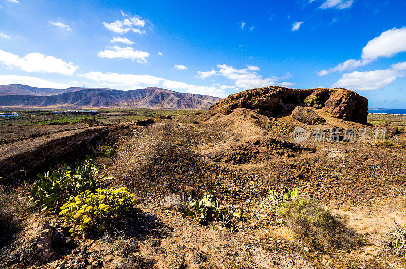 火山guaitza仙人掌lanzarote