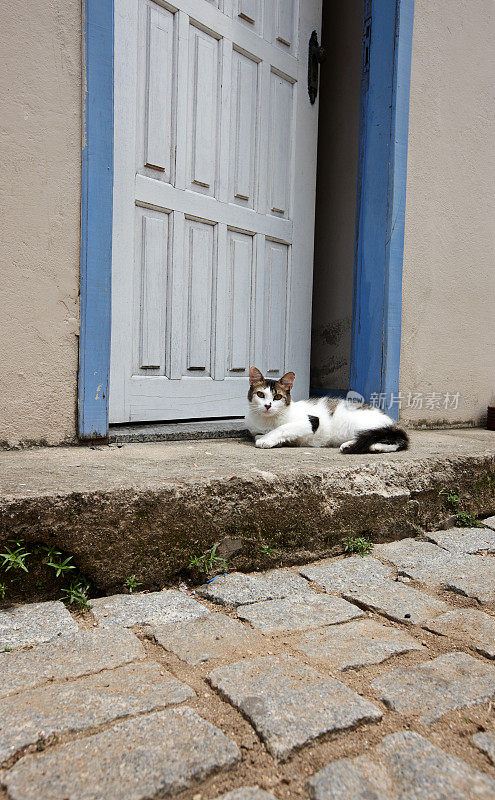 猫在鹅卵石街上开着的门旁边