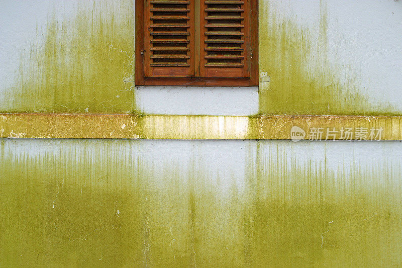 绿色带窗墙