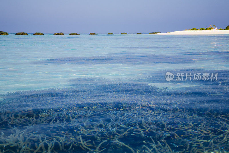 珊瑚海滩和蔚蓝的海水