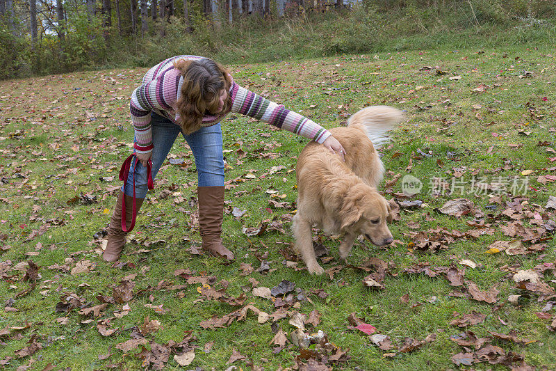 年轻的红发女子玩金毛猎犬