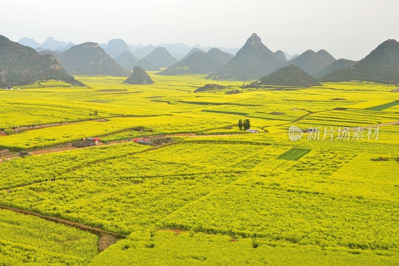 美丽的田野，在云南省，中国