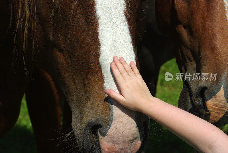 小心抚摸