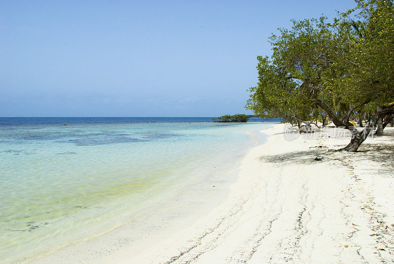 加勒比海的热带沙滩，白色的沙滩