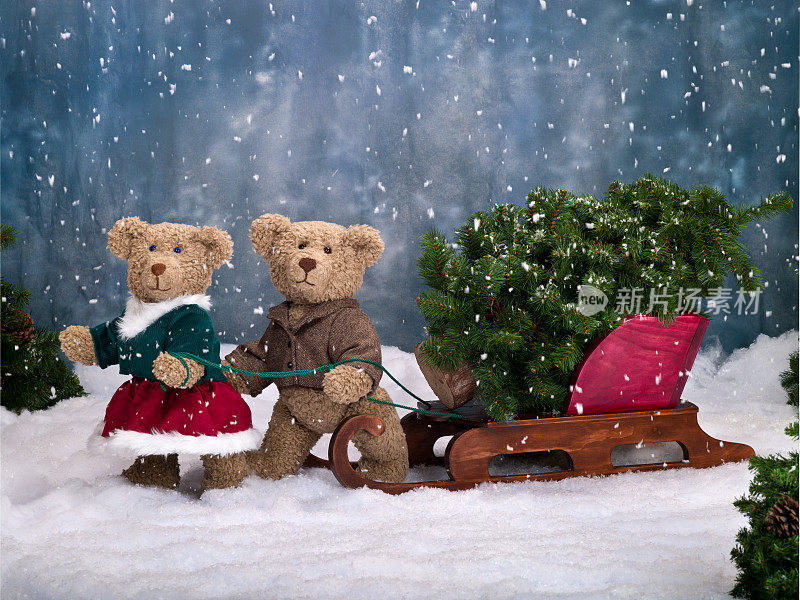 泰迪熊拉着有圣诞树的雪橇