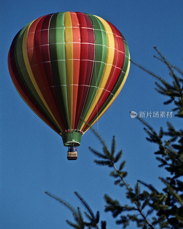 彩色热气球和冷杉树