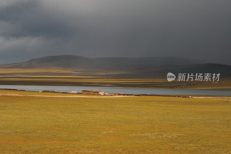 在可可西里，可可西里，西藏