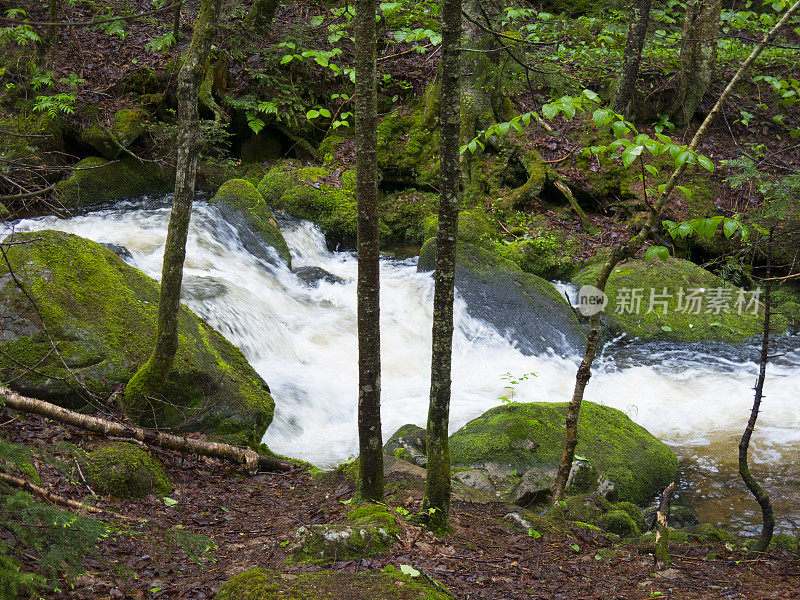 山洪在雨中